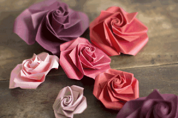 5.gif